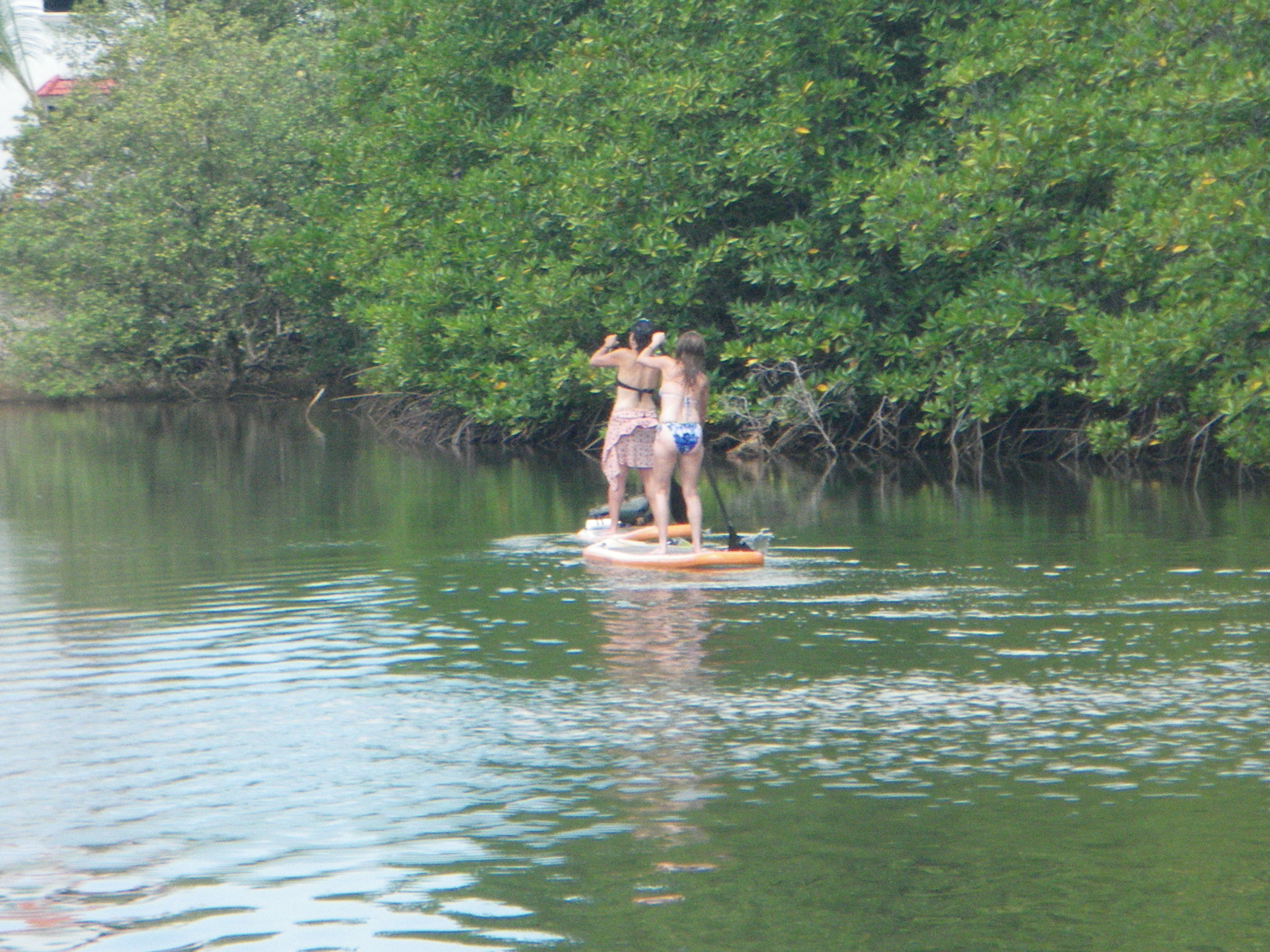 Praticante de stand up paddle em rio calmo