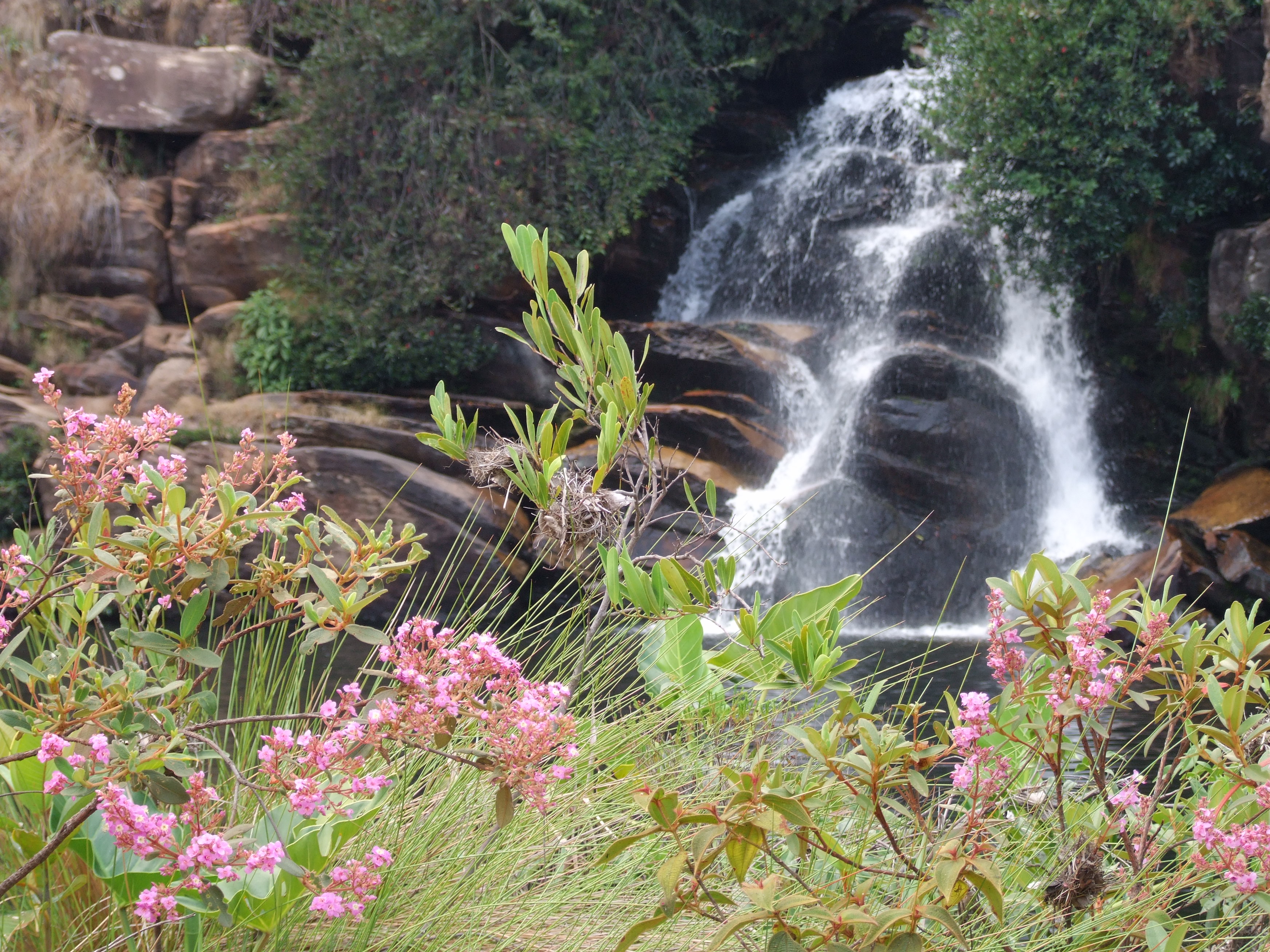 Cachoeira Serra Morena na Serra do Cipó